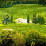 Weinberg Villa Italien