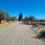 Wandern Archangelos1